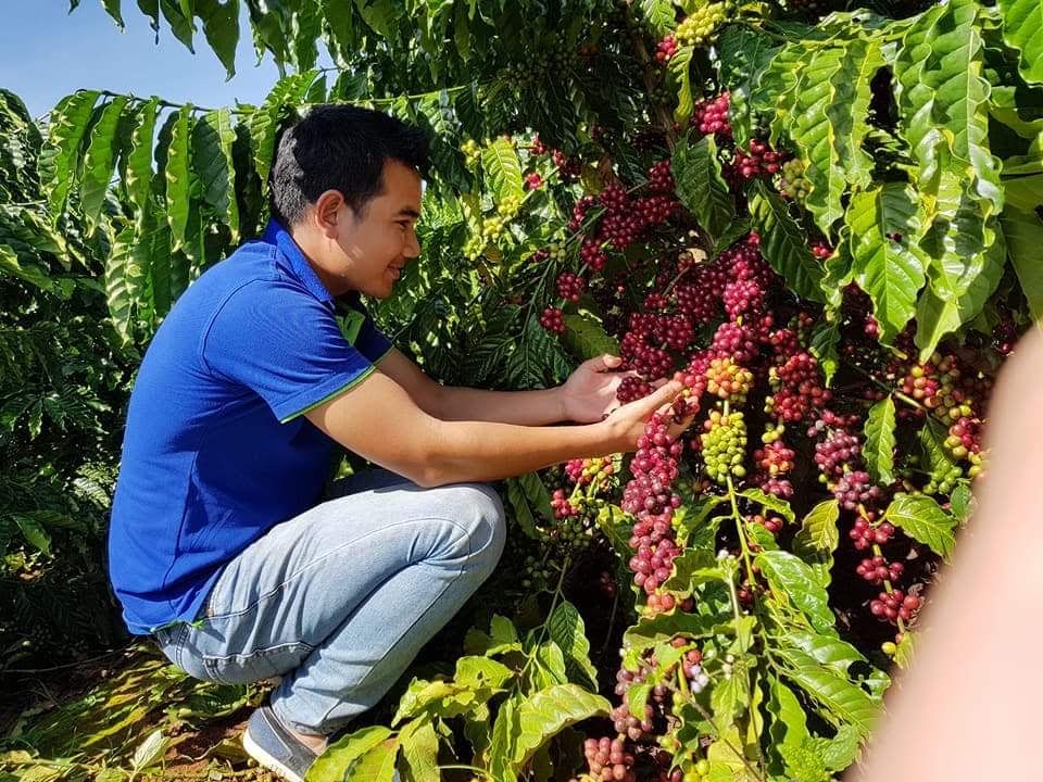 du an nong nghiep ben vung va phat trien cong dong truoc bien doi khi hau tai Tay Nguyen